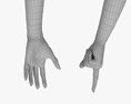 Female Hands Finger Point 3D-Modell