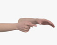 Female Hands Finger Point 3Dモデル