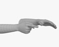 Female Hands Finger Point Modèle 3d