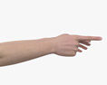 Female Hands Finger Point 3D-Modell