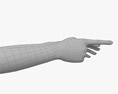 Female Hands Finger Point 3D модель