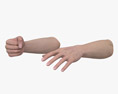 Female Hands Fist 3D 모델 