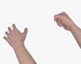 Female Hands Fist 3Dモデル