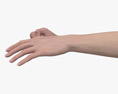 Female Hands Fist 3D模型