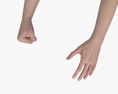 Female Hands Fist 3d model