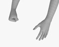 Female Hands Fist 3Dモデル