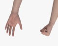 Female Hands Fist 3D-Modell