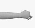 Female Hands Fist Modelo 3D