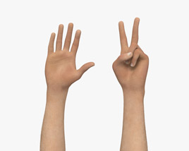 Male Hands Peace Gesture 3D model