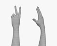 Male Hands Peace Gesture 3d model