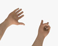Male Hands Peace Gesture 3D模型