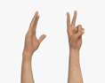 Male Hands Peace Gesture Modelo 3D