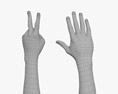 Male Hands Peace Gesture Modello 3D