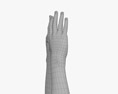 Male Hands Peace Gesture 3D модель