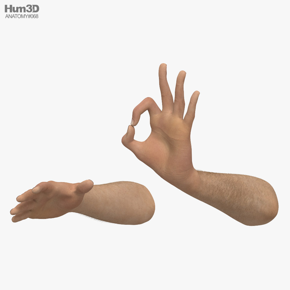 Male Hands Ok Sign 3D model
