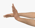 Male Hands Ok Sign 3d model