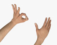 Male Hands Ok Sign 3D模型