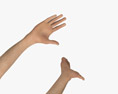 Male Hands Ok Sign 3Dモデル
