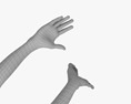 Male Hands Ok Sign 3d model
