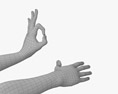 Male Hands Ok Sign 3D-Modell