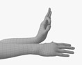 Male Hands Ok Sign Modello 3D