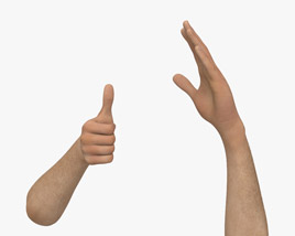 Male Hands Thumbs up 3D model