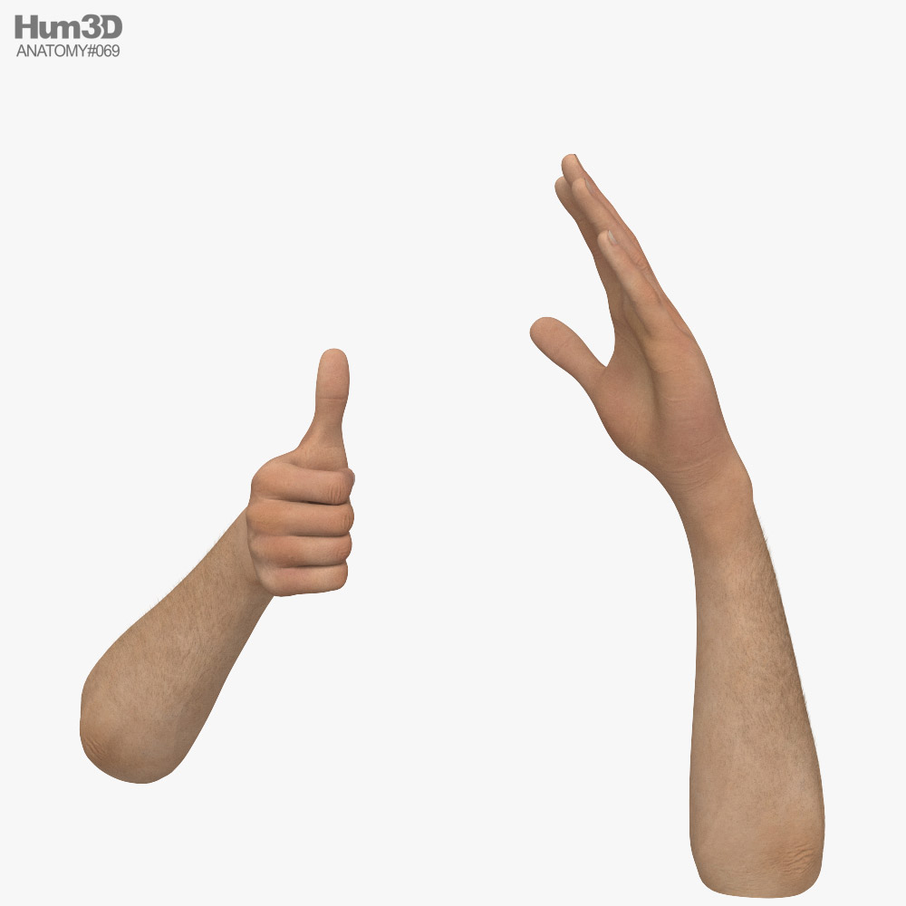 Male Hands Thumbs up 3D model