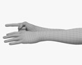 Male Hands Finger Point Modello 3D