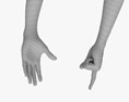Male Hands Finger Point 3Dモデル