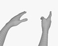 Male Hands Finger Point 3d model