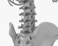 脊椎固定システム 3Dモデル