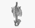 Spinal Fixation System 3d model