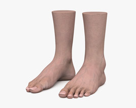 Female Foot 3Dモデル