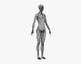 여성 근육계 3D 모델 