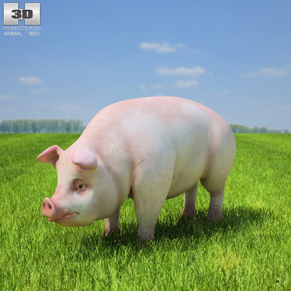 Pig Low Poly 3d model