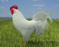 Rooster Leghorn Low Poly 3D-Modell