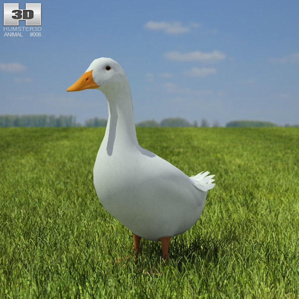Pekin Duck Low Poly Modèle 3D