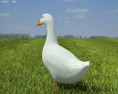 Pekin Duck Low Poly Modèle 3d