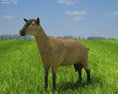 Alpine Goat Low Poly Modelo 3D