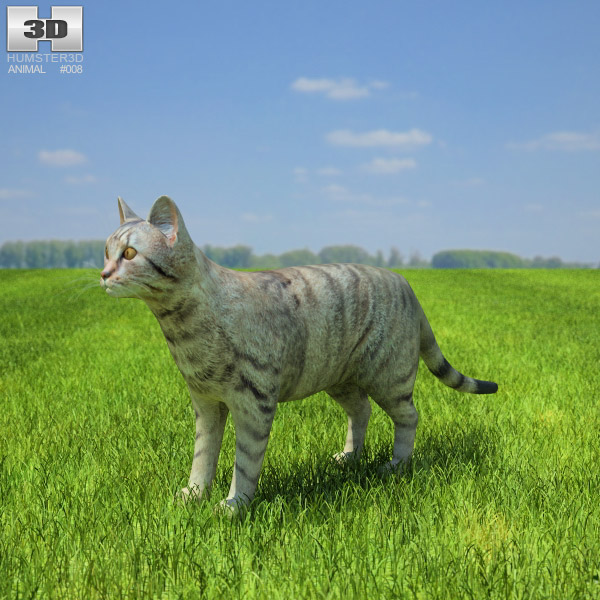 Cat Low Poly Modèle 3D