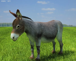 Donkey Low Poly 3D model