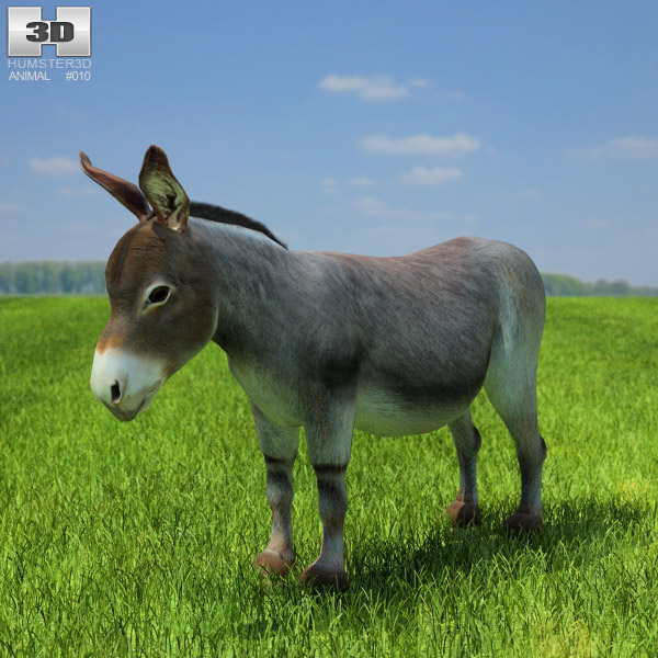 Donkey Low Poly 3d model