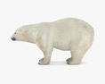 Polar Bear Low Poly Rigged 3D 모델 