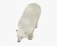 Polar Bear Low Poly Rigged Modèle 3d