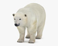 Polar Bear Low Poly Rigged 3d model