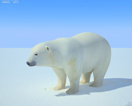 Polar Bear Low Poly 3D-Modell