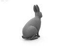 Common Rabbit Low Poly 3d model