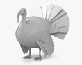Turkey Low Poly Rigged Modelo 3D
