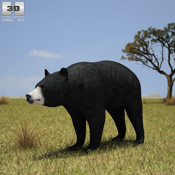 American Black Bear Low Poly 3d model