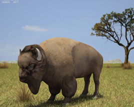 American Bison Low Poly Modello 3D